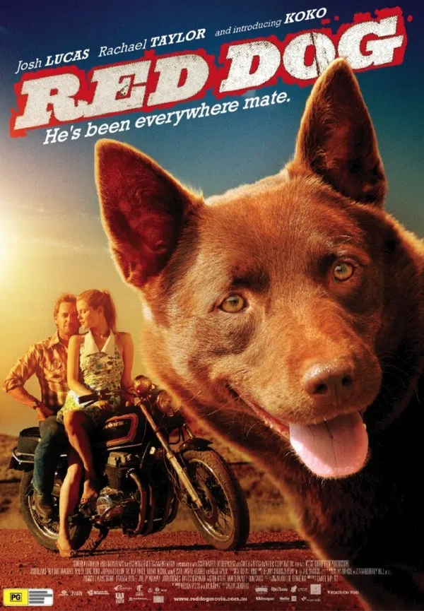 Poster phim Chú Chó Trung Thành trên Xem Phim Fun